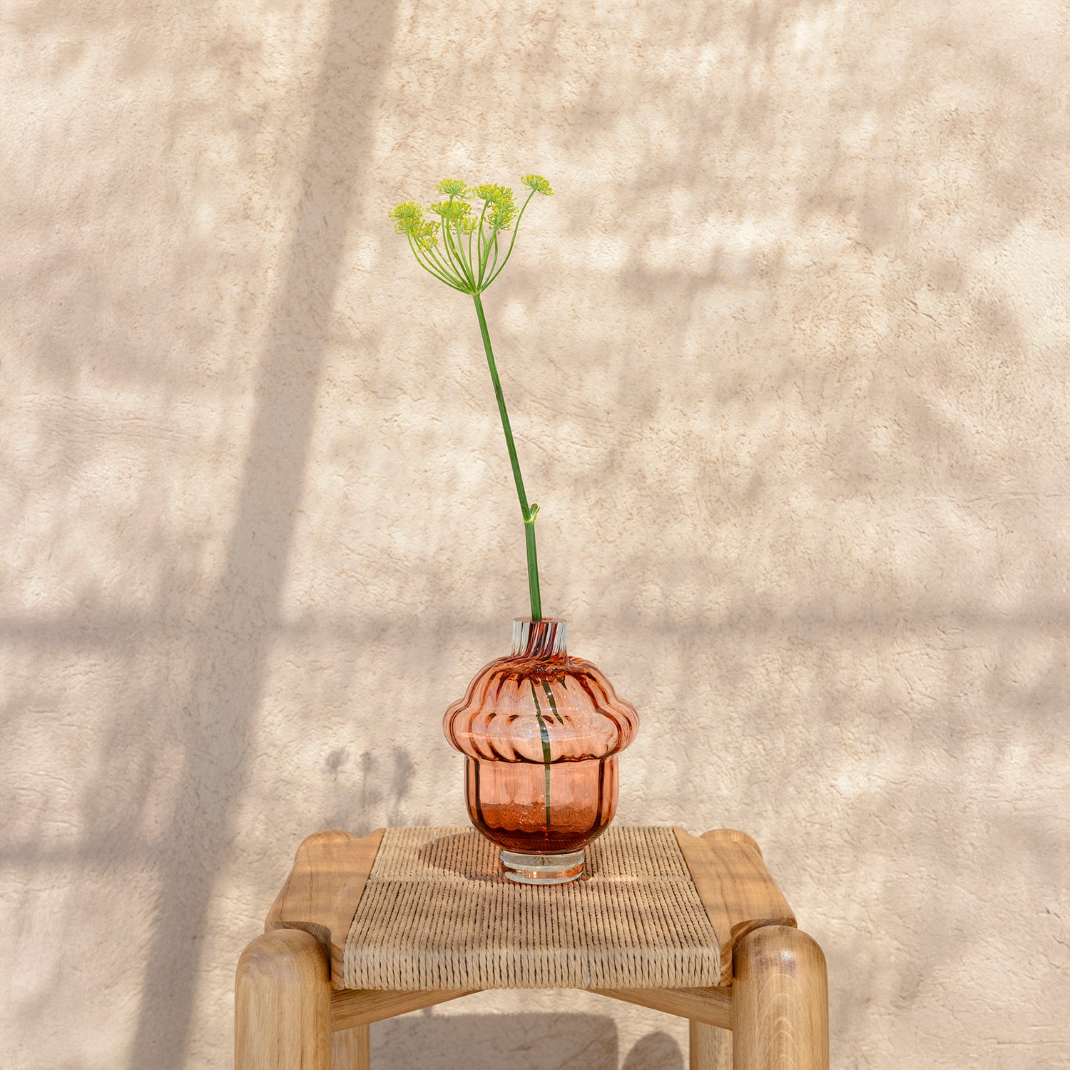 Enzo, vase