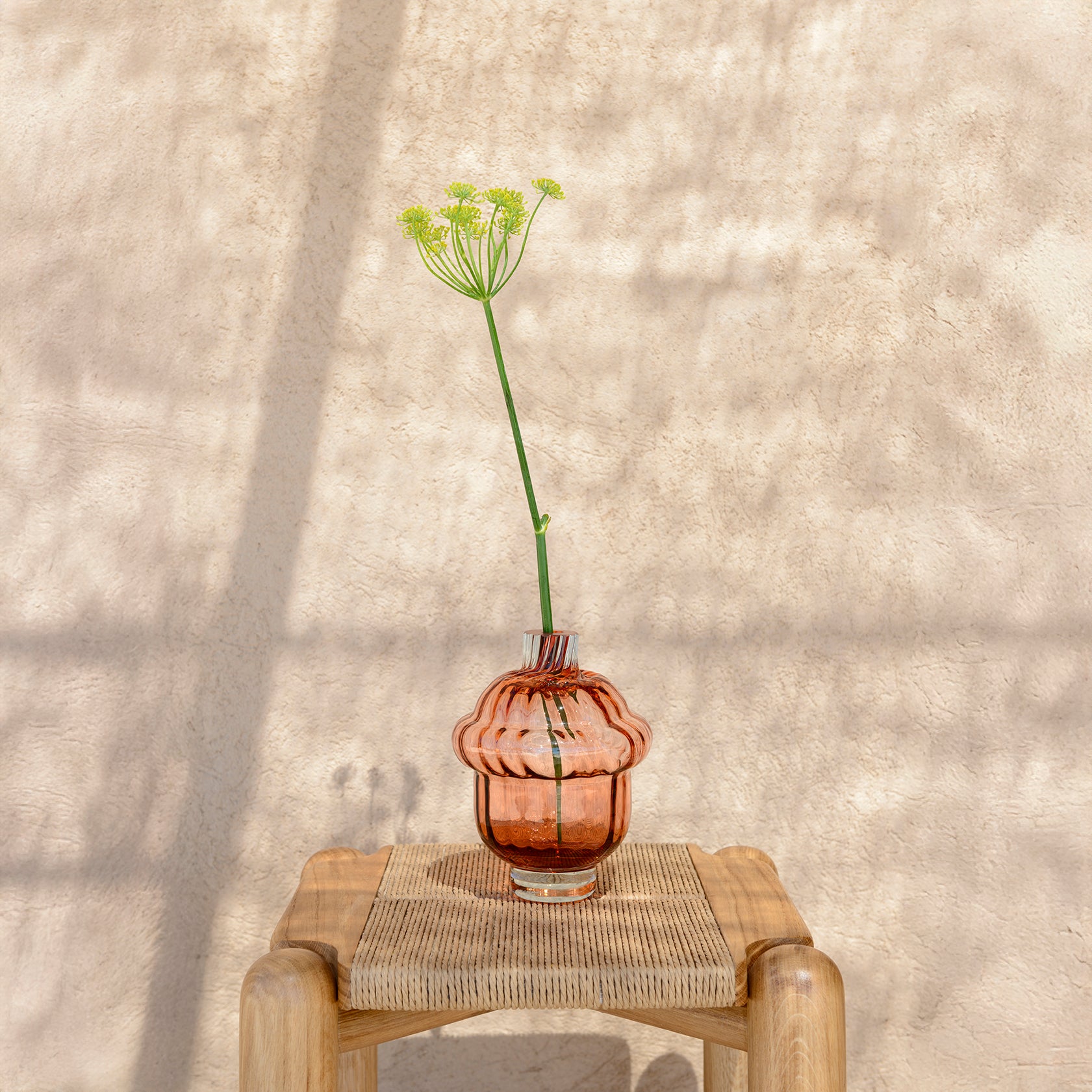 Enzo, vase