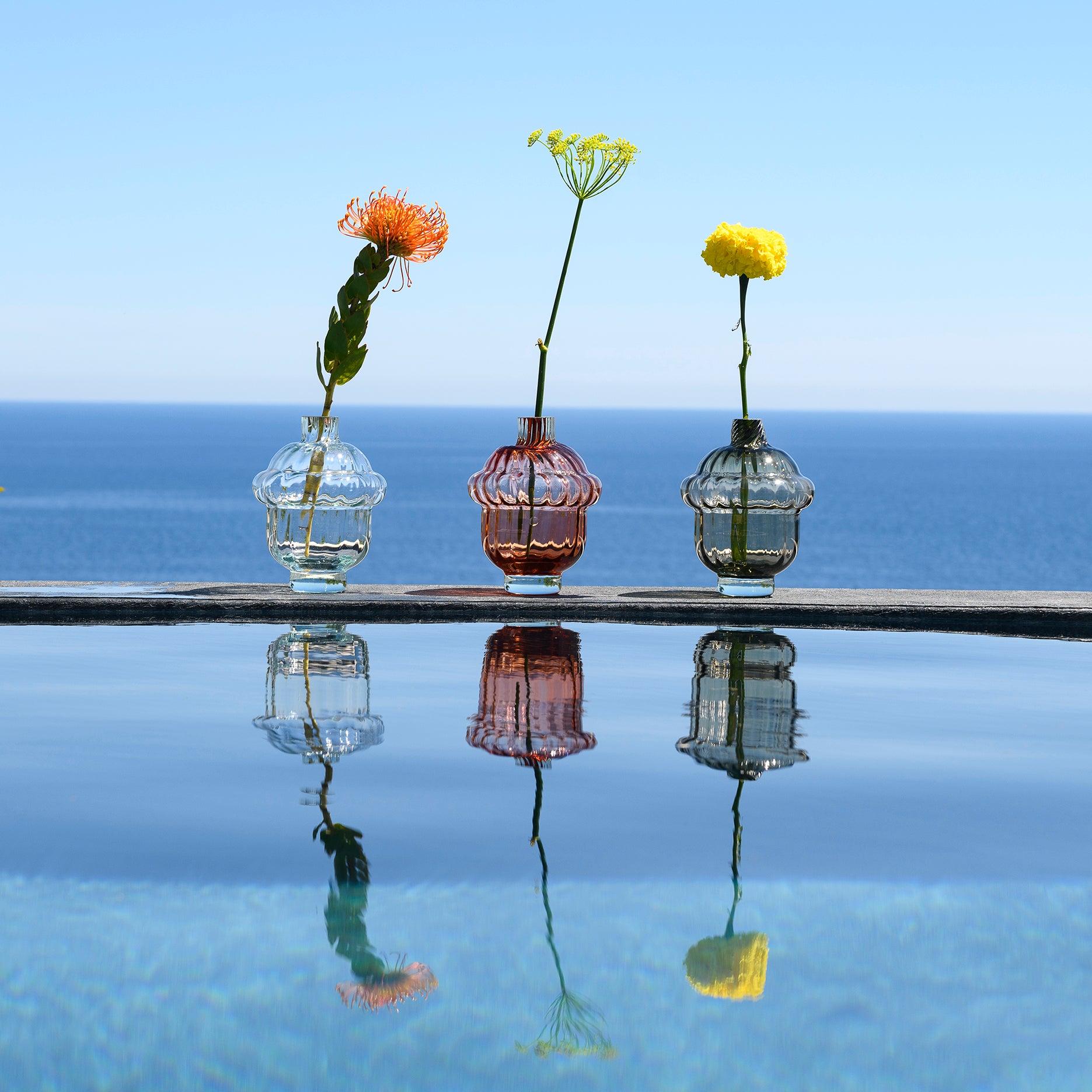 Enzo, vase