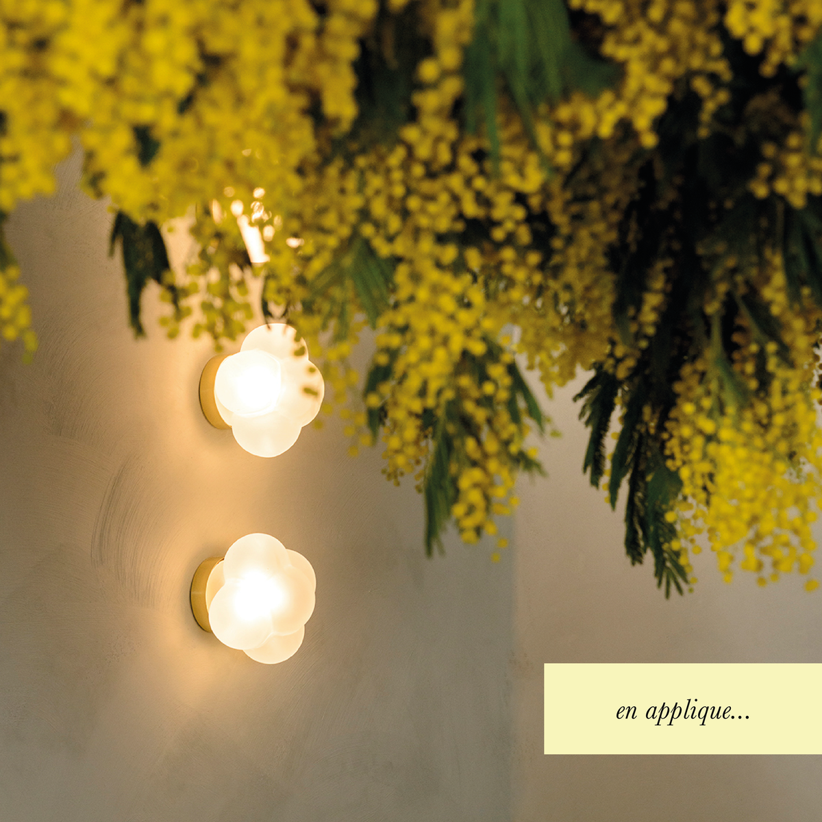 Mimosa applique lumineuse design Margaux Keller
