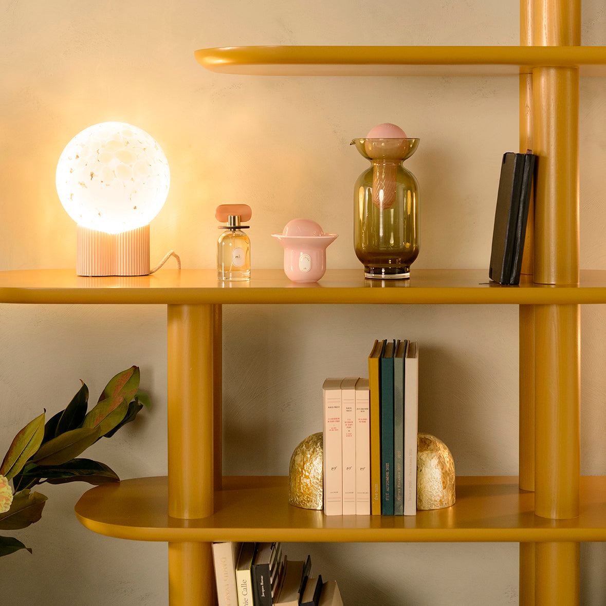 Gaou, bookcase H155 x L180