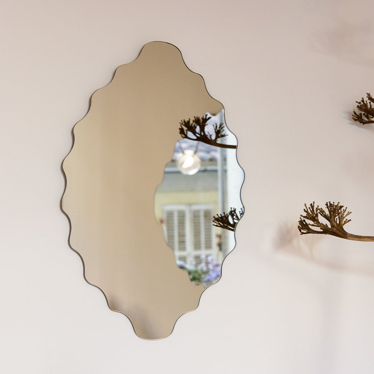 Cédrat, miroir